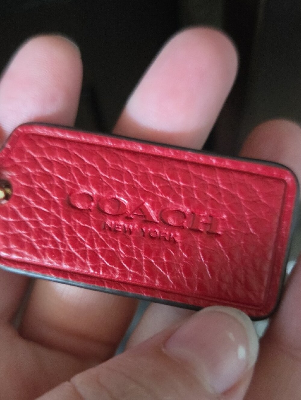 Coach Ellen Crossbody Bag with Diagonal Stripes - Red & Chalk White - Picture 3 of 16